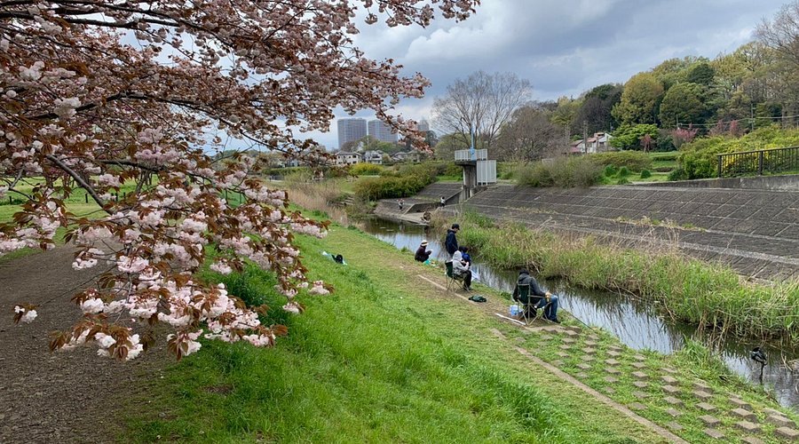 🏞️ 노가와 공원 (노가와코엔) 이미지 8